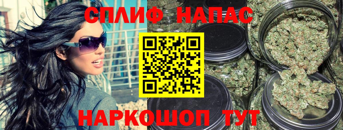 МАРИХУАНА сатива Соль-Илецк